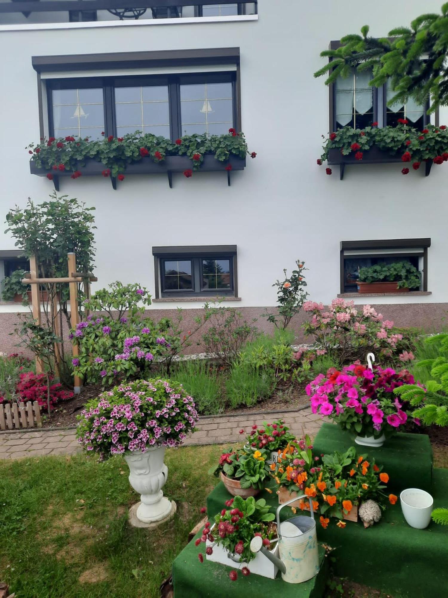 Ferienwohnung"Harzliebe" Gernrode  Exterior photo